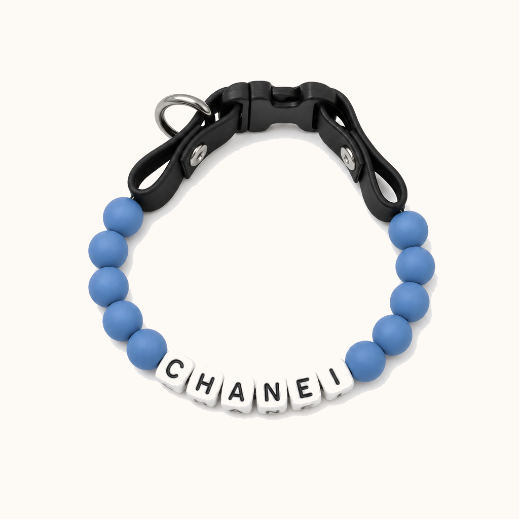 Personalized Dog Collar