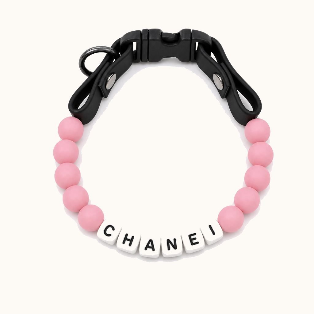 Personalized Dog Collar