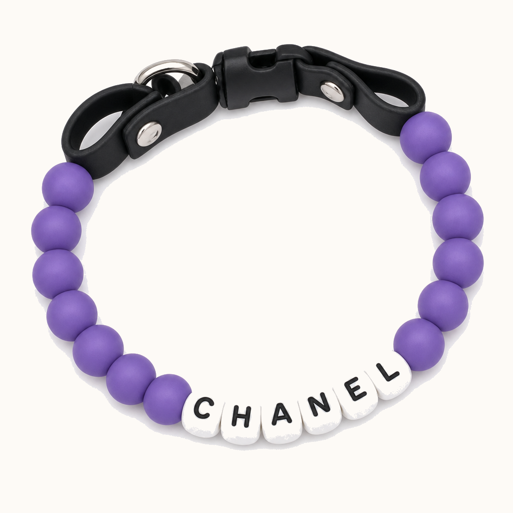 Personalized Dog Collar