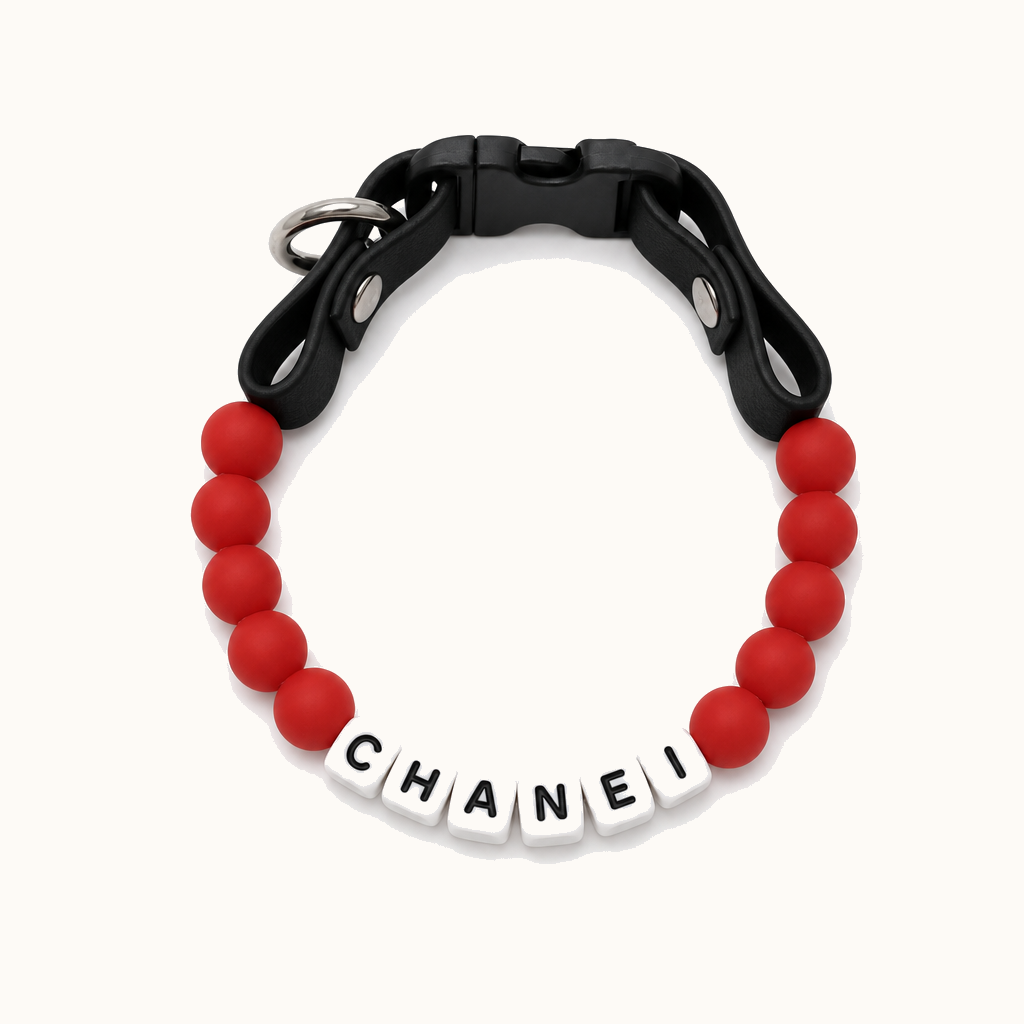 Personalized Dog Collar